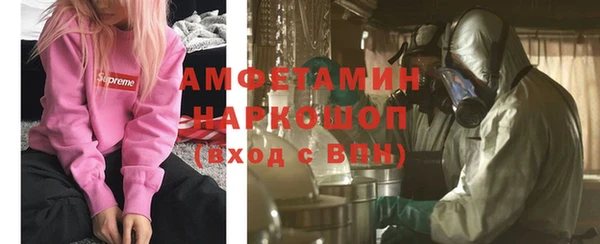 ГАЛЛЮЦИНОГЕННЫЕ ГРИБЫ Осинники