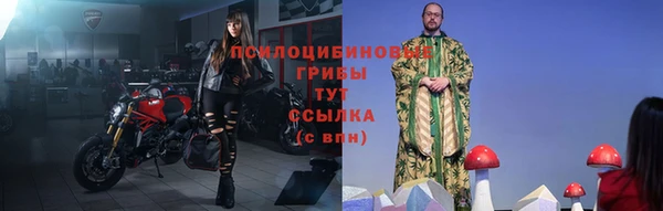 бутират Няндома