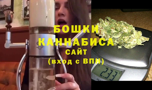 ГАЛЛЮЦИНОГЕННЫЕ ГРИБЫ Осинники
