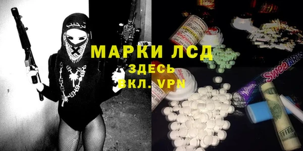 ГАЛЛЮЦИНОГЕННЫЕ ГРИБЫ Осинники