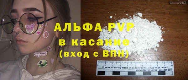 ГАЛЛЮЦИНОГЕННЫЕ ГРИБЫ Осинники