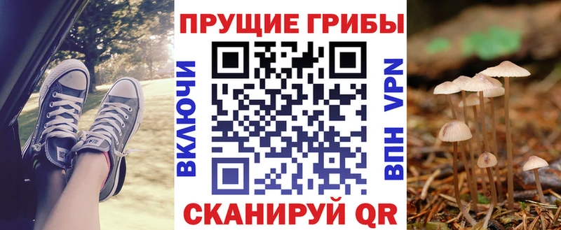 сколько стоит  Гурьевск  Галлюциногенные грибы мицелий 
