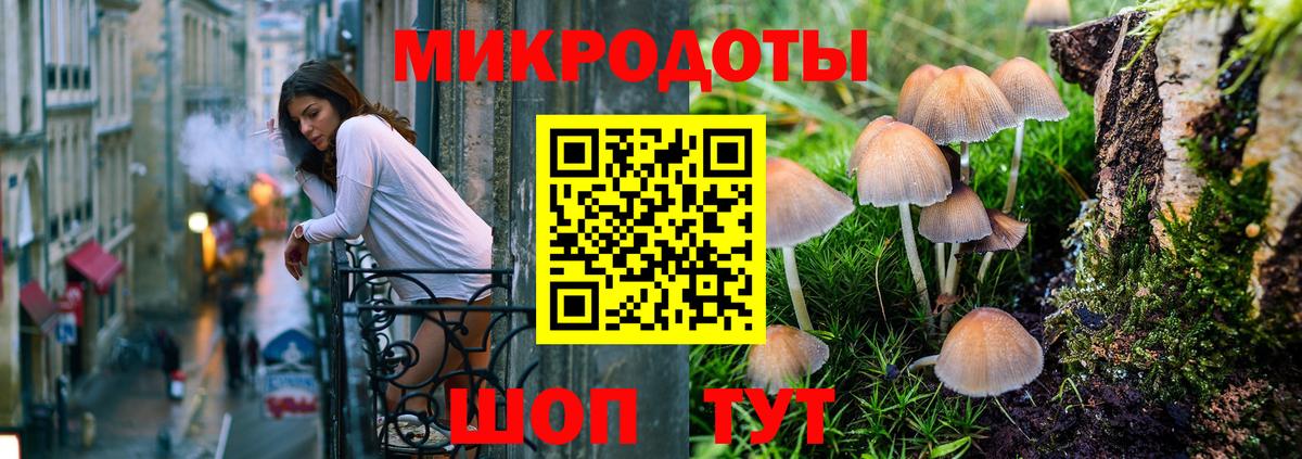 Галлюциногенные грибы Psilocybe  как найти закладки  Гурьевск 