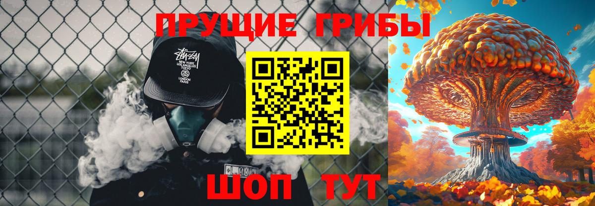 Гурьевск  Псилоцибиновые грибы мухоморы  Вход с VPN 